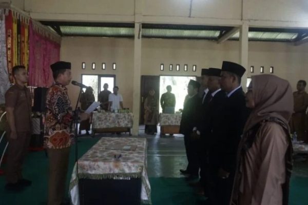 Tip Sukses Budidaya Ayam Pedaging: Panduan Lengkap untuk Peternak Indonesia