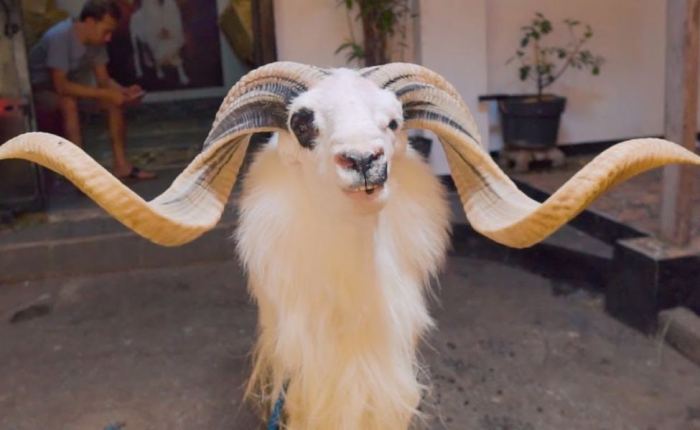 Daging kambing di Cibiuk, Garut