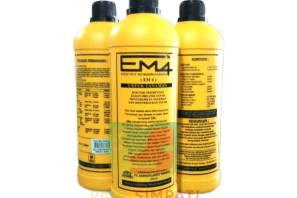 Em4 peternakan ayam di Senayang, Lingga