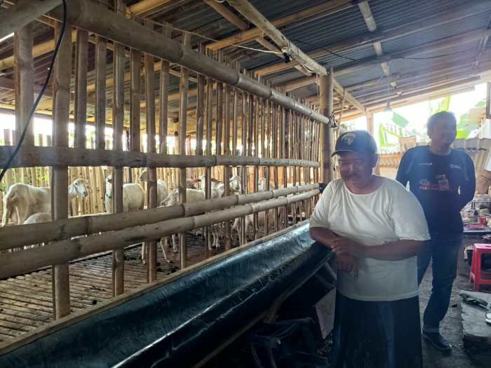 Daging kambing di Paiton, Probolinggo