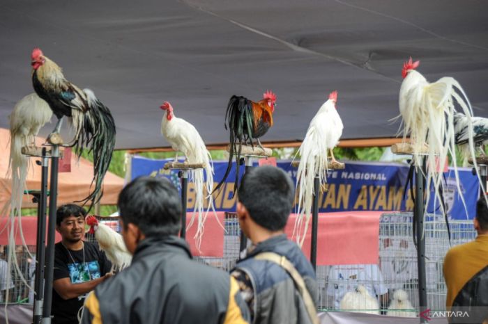 Data Daftar: Kabupaten Tanjung Jabung Barat dan Timur Data Daftar: Kabupaten Tanjung Jabung Barat dan Timur