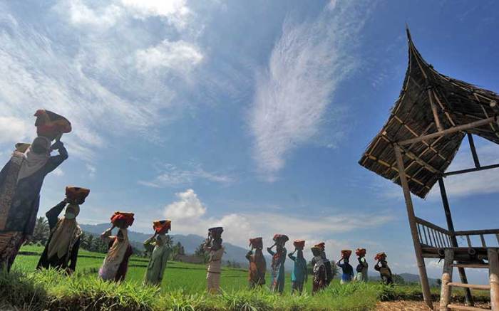 Budidaya ayam di Batipuh, Kabupaten Tanah Datar