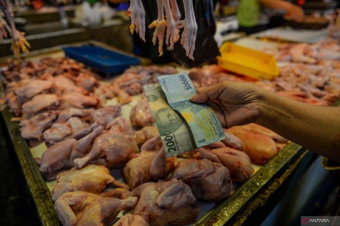 Kenaikan harga daging ayam di Bandung - ANTARA News