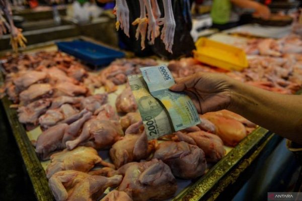 Harga ayam kampung potong di Sumur Bandung, Kota Bandung