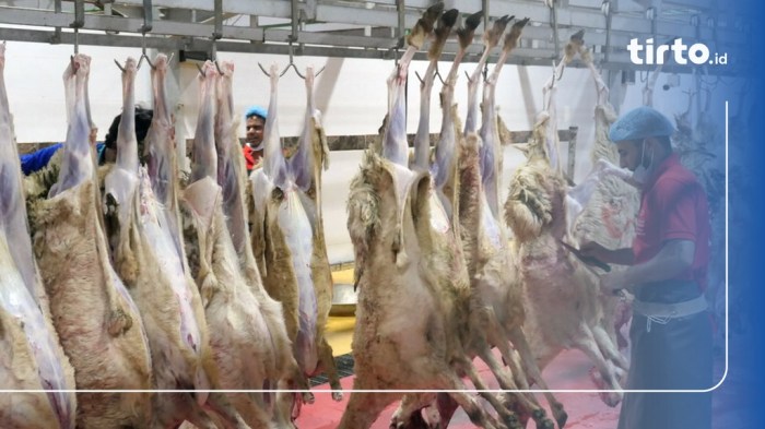 Daging kambing di Ngimbang, Lamongan