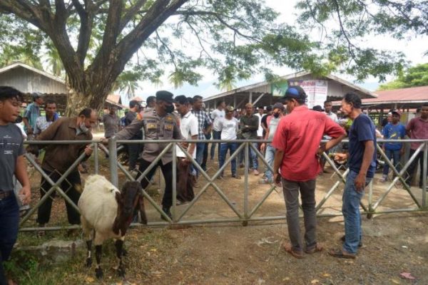 Anim Agro Technology: TERNAKAN AYAM KAMPONG - FAKTA DI MEDIA (PT 1)