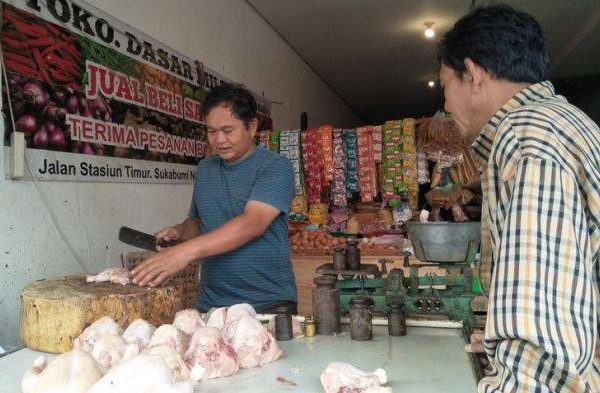 Sejak Wabah Corona Harga Ayam Potong di Kota Sukabumi Tidak Menentu ...
