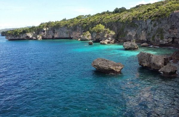 Daun penggemuk ayam di Bulukumpa, Kabupaten Bulukumba