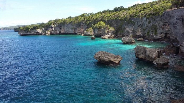Daun penggemuk ayam di Bulukumpa, Kabupaten Bulukumba