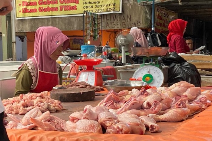 Harga Ayam Merah Hari ini di Borobudur Magelang | Jual Ayam Afkir ...