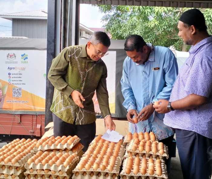Budidaya ayam di Tanjung Karang Pusat, Kota Bandar Lampung