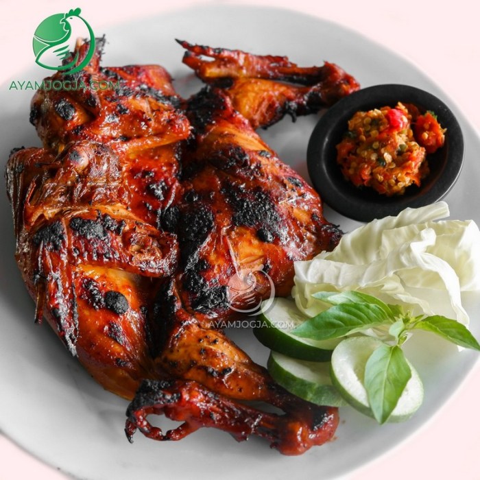 Ayam merah petelur di Pakem, Sleman