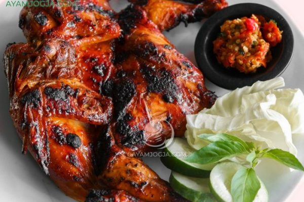 Ayam merah petelur di Prambanan, Sleman