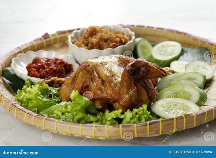 Ayam Ternak di Lamongan, Kab. Lamongan