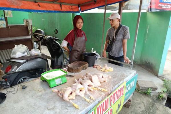 Harga ayam kampung potong di Rancabali, Bandung