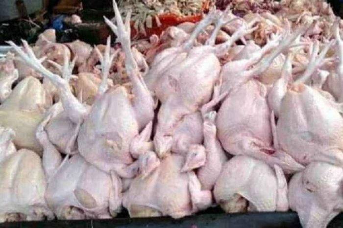 Dua hari jelang Ramadhan harga ayam potong di Deliserdang anjlok ... Harga ayam kampung potong di Kotabumi Utara, Lampung Utara