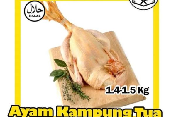 Jual Ayam Kampung Tua Merah Halal Premium Frozen Murah Bekasi Fresh ...