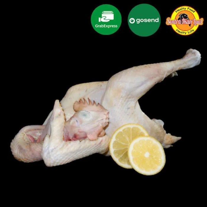 Jual Obat penggemuk ayam kampung | Shopee Indonesia Daun penggemuk ayam di Kopay, Kab. Asmat