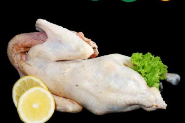 Bisnis Ayam Potong Kampung, Bisnis Rumahan Omzet Jutaan - Distributor ...