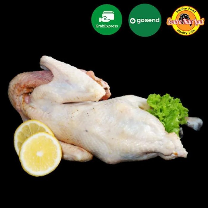 Bisnis Ayam Potong Kampung, Bisnis Rumahan Omzet Jutaan - Distributor ...