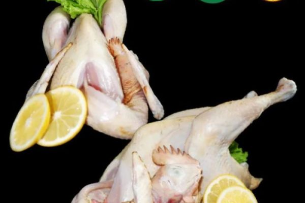 Harga ayam kampung potong di Banjit, Way Kanan