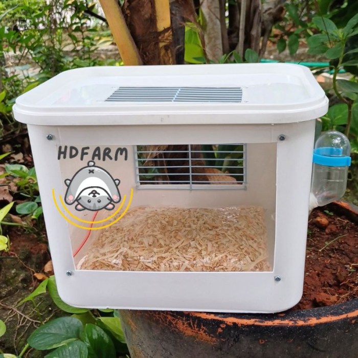 Jual Kandang Hamster box + tempat minum Free Alas Modifikasi akrilik ... Kandang Reptil Horizontal Ular Iguana Tokek Gecko Landak Hamster Sugar Glider Kura Kura Dll Bahan Triplek 3mm