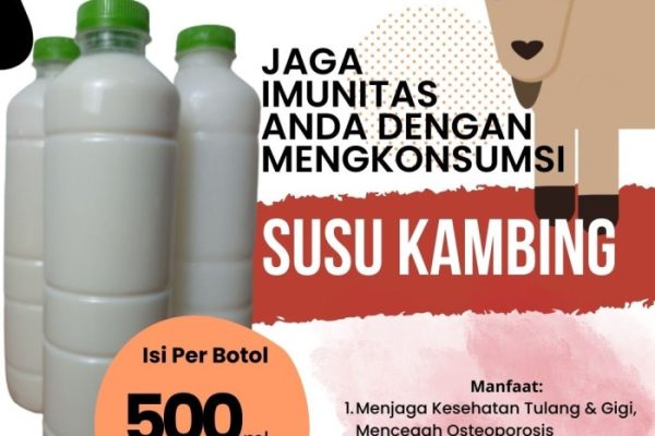Susu kambing di Pacet, Mojokerto