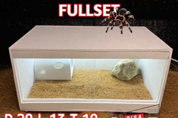 Jual 1 SETT TERARIUM REPTIL/KANDANG REPTIL MINI PVC cocok untuk kandang ...