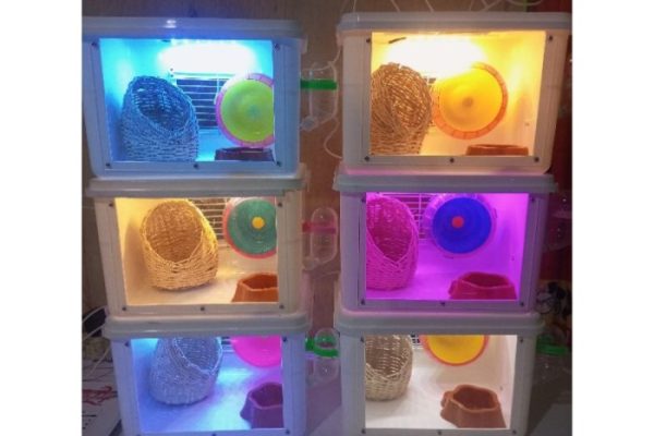 PAKET KANDANG HAMSTER AKRILIK LED HAMSTER/REPTIL/GECKO/DLL LED USB WOODEN ACCSEORIES HAMSTER/REPTIL/GECKO/SG/LANDAK BY HAMTACI