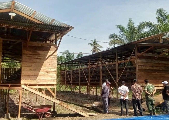Nagari di Pasaman Barat Ini Fokus Kembangkan Budi Daya Kopi Robusta dan ... Nagari di Pasaman Barat Ini Fokus Kembangkan Budi Daya Kopi Robusta dan ...