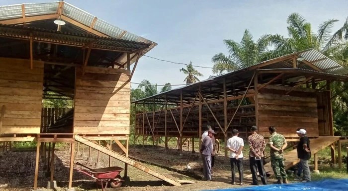 Mahasiswa UGM berinovasi membuat alat pencegah stres pada ayam broiler ... Ayam ternak di Pasaman, Kabupaten Pasaman Barat