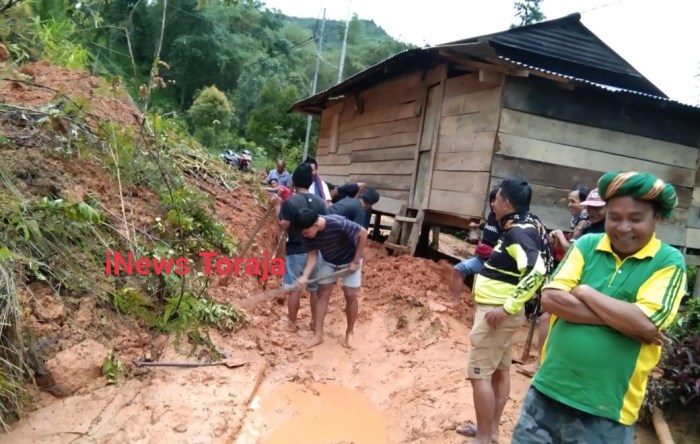 Daun penggemuk ayam di Mappak, Tana Toraja