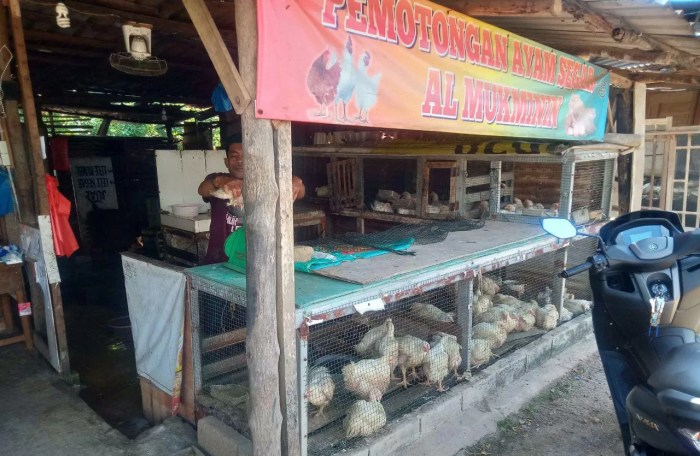 Ayam Kampung Pinang, Pasar Modern Graha Raya - GoFood Daun penggemuk ayam di Pinang, Kab. Tangerang