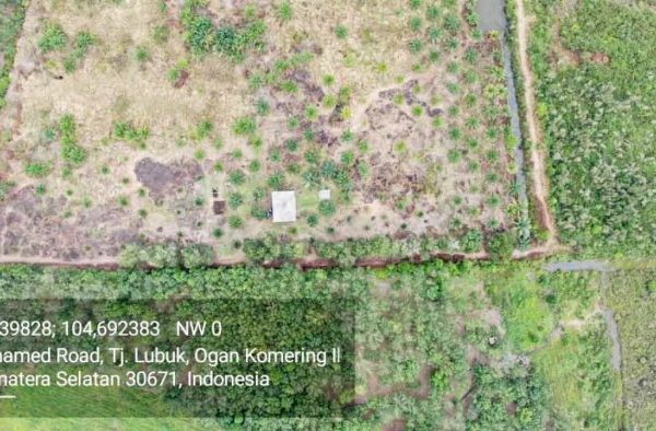 Daging kambing di Tanjung Lubuk, Ogan Komering Ilir