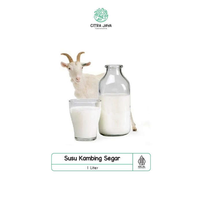 Susu kambing di Sucinaraja, Garut