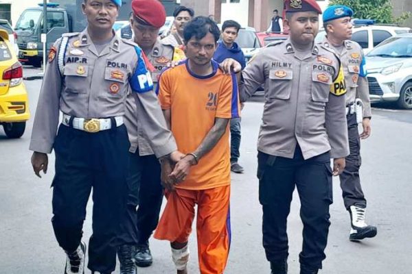 Gallery - Jual Ayam Petelur Afkir Cirebon