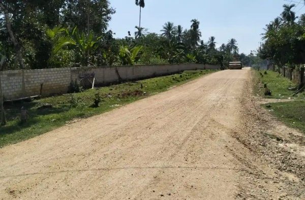 Daun penggemuk ayam di Marobo, Muna