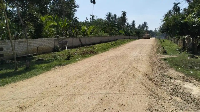 Daun penggemuk ayam di Marobo, Muna
