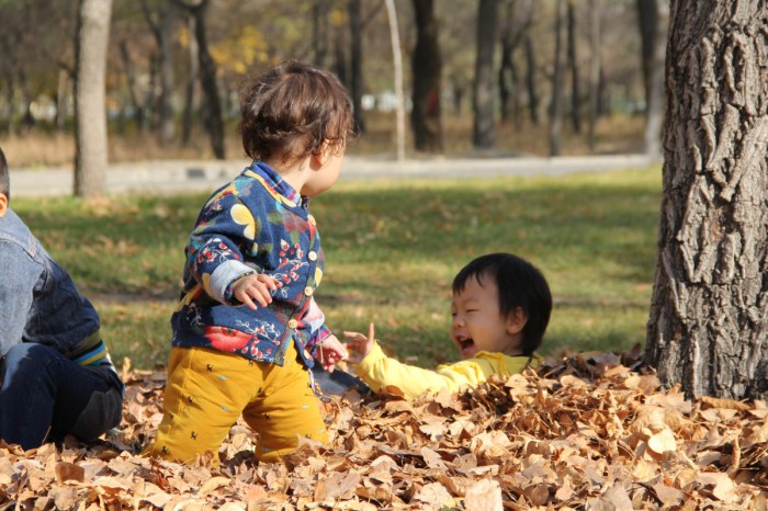Anak kelinci di Taman Krocok, Bondowoso