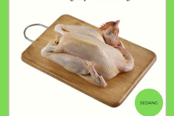 Jual Ayam Kampung - Ayam kampung Asli - Ayam kampung Palembang - Ayam ...