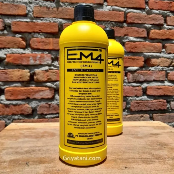 Em4 peternakan ayam di Lubuk Kilangan, Kota Padang