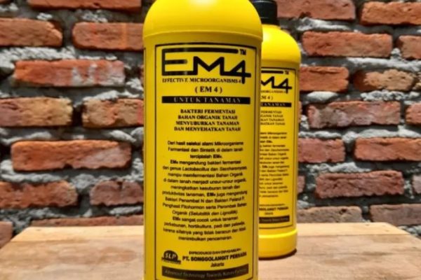 Em4 peternakan ayam di Jambi Luar Kota, Kabupaten Muaro Jambi