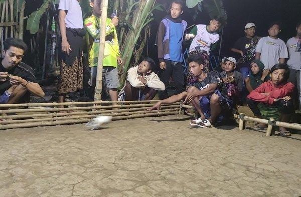 Daging kambing di Wonomerto, Probolinggo