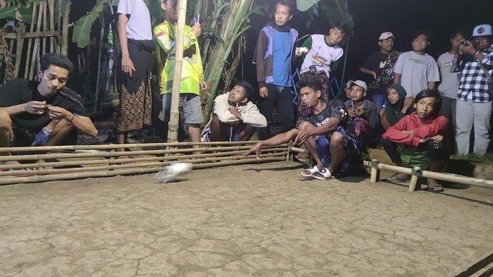 Daging kambing di Wonomerto, Probolinggo