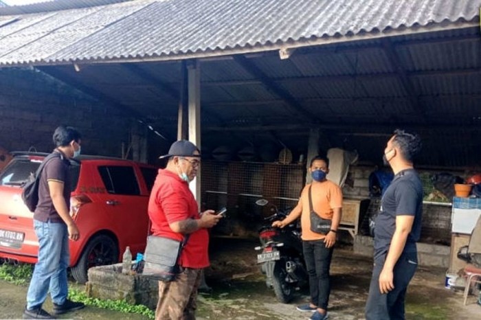 Daun penggemuk ayam di Bangli, Bangli
