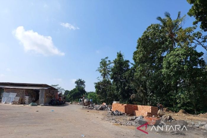 budidaya ayam boiler | Distributor Pupuk Organik