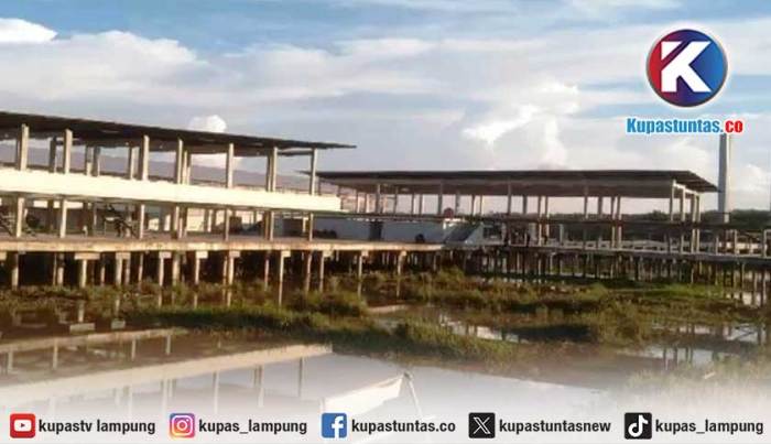 4 Wisata di Mesuji Lampung yang Bisa Jadi Pilihan Saat Liburan 4 Wisata di Mesuji Lampung yang Bisa Jadi Pilihan Saat Liburan