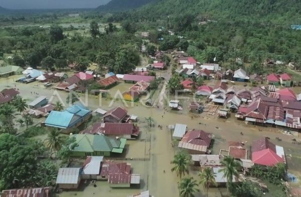 Daun penggemuk ayam di Landawe, Konawe Utara