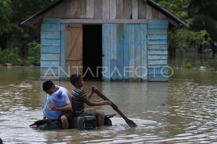 Daun penggemuk ayam di Pondidaha, Konawe