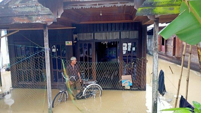 Daun penggemuk ayam di Banua Lawas, Tabalong